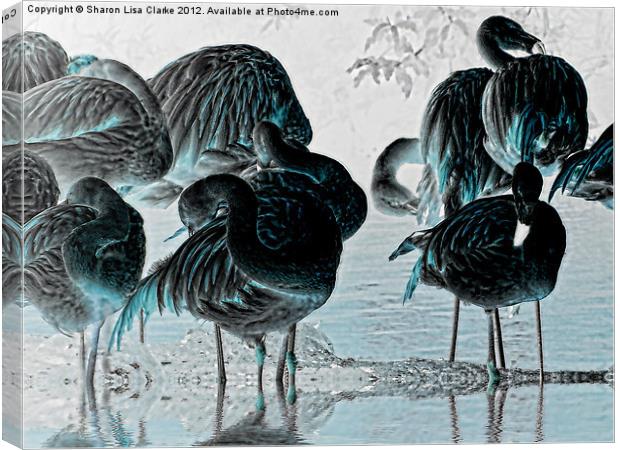Exotic Flamingos Canvas Print by Sharon Lisa Clarke