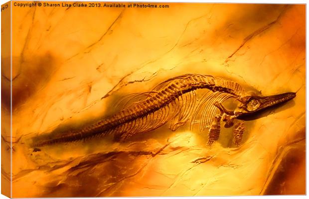 Ichthyosaur Canvas Print by Sharon Lisa Clarke