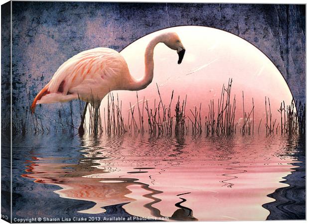 Flamingo Moon Canvas Print by Sharon Lisa Clarke