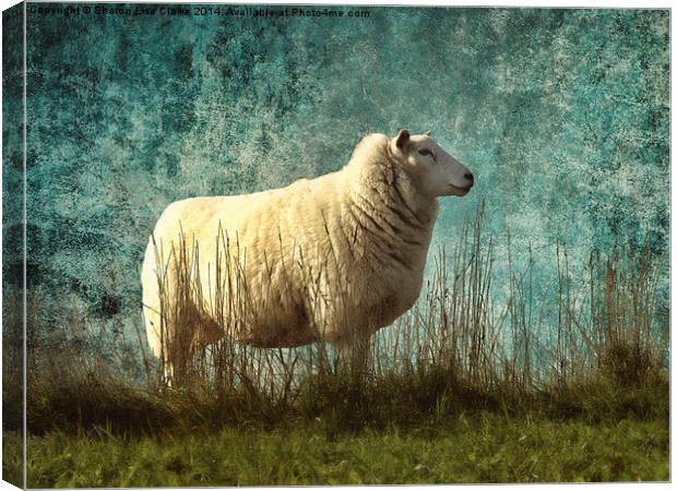 Vintage Sheep Canvas Print by Sharon Lisa Clarke
