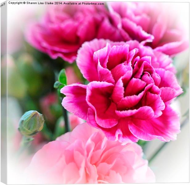 Perfectly Pink Canvas Print by Sharon Lisa Clarke