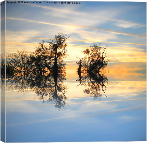  Criss cross skies Canvas Print by Sharon Lisa Clarke