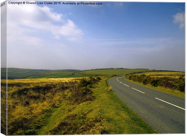  Exmoor Canvas Print by Sharon Lisa Clarke