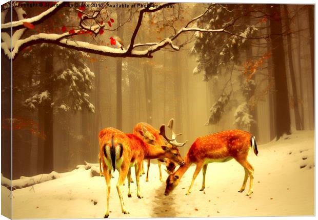  Fallow Deer Canvas Print by Sharon Lisa Clarke