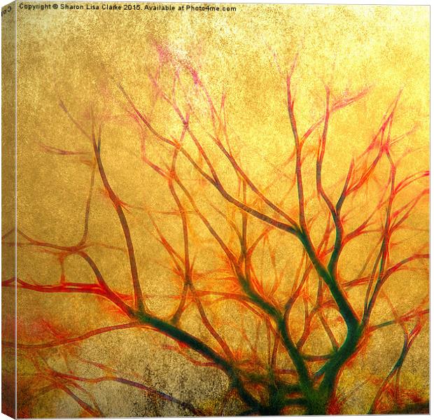  The Old Tree Canvas Print by Sharon Lisa Clarke