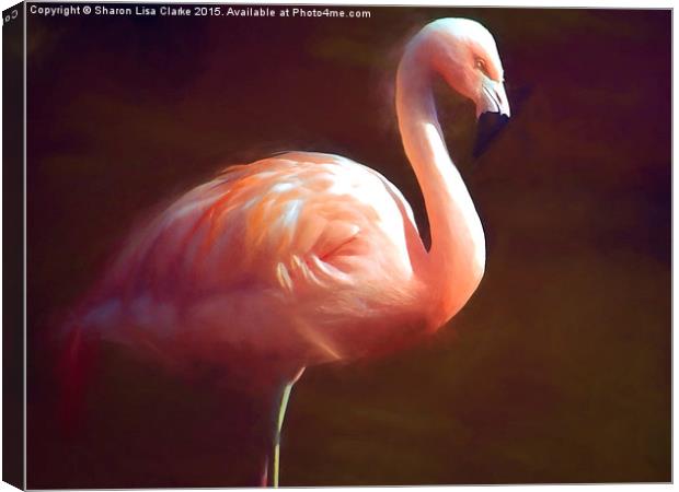  Flamingo dream Canvas Print by Sharon Lisa Clarke