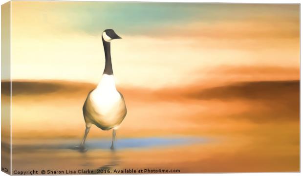 Canada Goose Canvas Print by Sharon Lisa Clarke