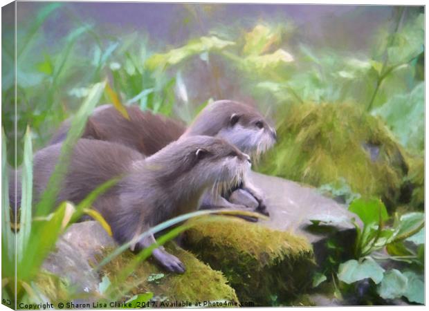 Otter duo Canvas Print by Sharon Lisa Clarke
