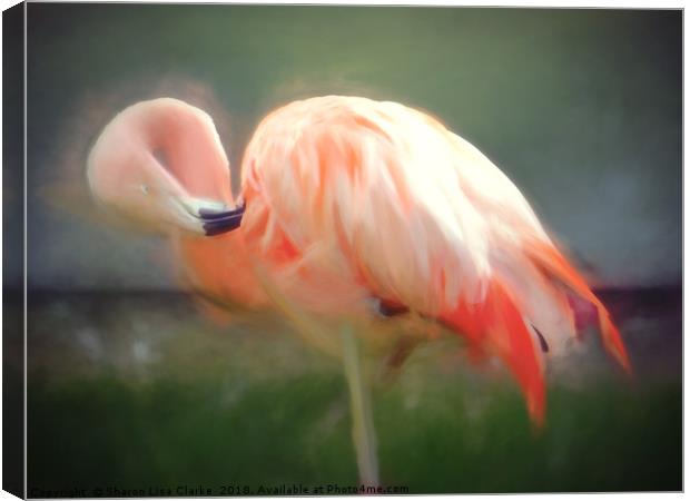 Flamingo blur Canvas Print by Sharon Lisa Clarke