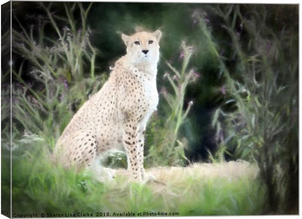 Sitting Proud Canvas Print by Sharon Lisa Clarke