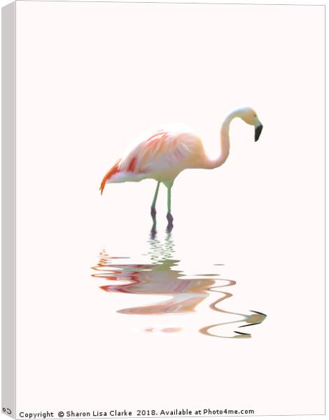Simply flamingo Canvas Print by Sharon Lisa Clarke