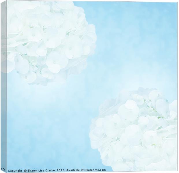Cotton soft hydrangeas Canvas Print by Sharon Lisa Clarke