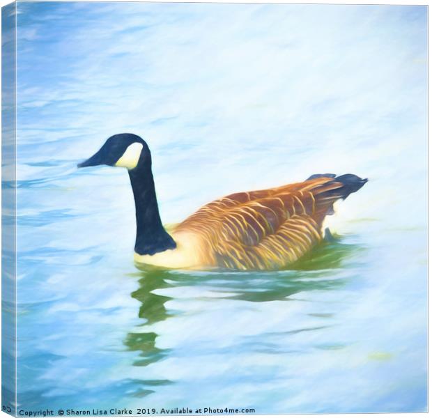 Lone Canada Goose Canvas Print by Sharon Lisa Clarke