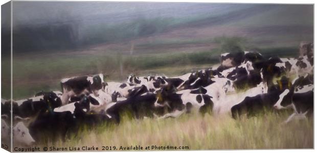 Cows at rest Canvas Print by Sharon Lisa Clarke
