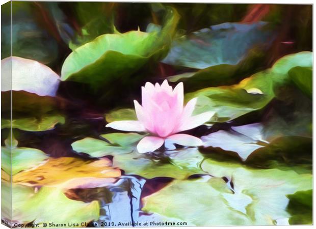Lily pad Canvas Print by Sharon Lisa Clarke