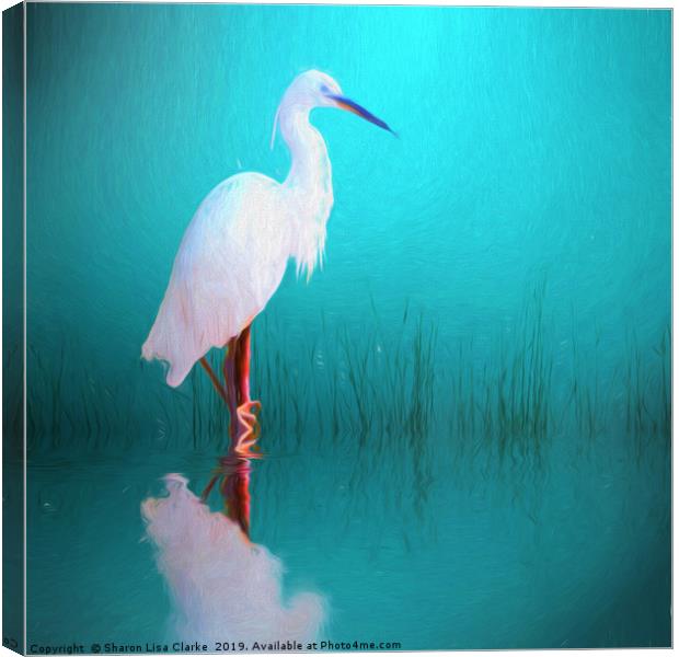 Egret in teal Canvas Print by Sharon Lisa Clarke