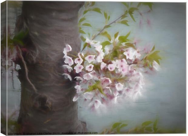 The Old Blossom Tree Canvas Print by Sharon Lisa Clarke