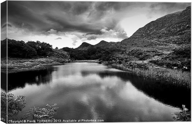 Muckross Lake in Killarney National Park Canvas Print by Pierre TORNERO