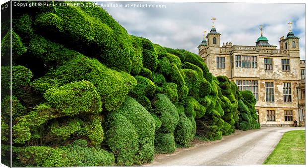 Audley End House Canvas Print by Pierre TORNERO