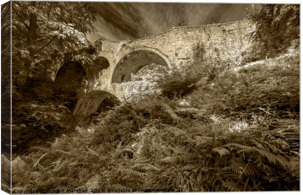 Craigmin Bridge Infrared Canvas Print by Scott K Marshall