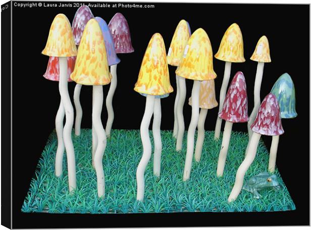 Toadstool and Frog garden ornaments. Canvas Print by Laura Jarvis