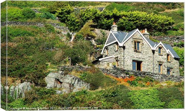 House on the hill Canvas Print by Andrew Poynton