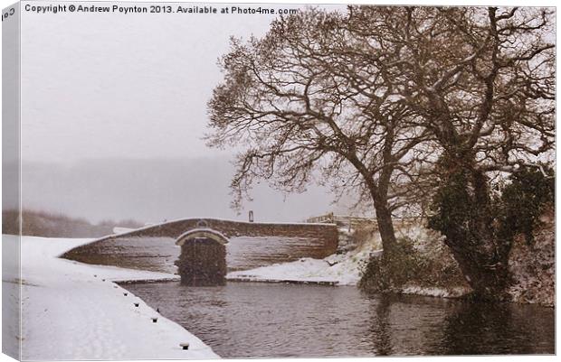 HINKSFORD LOCK SWINDON DUDLEY Canvas Print by Andrew Poynton