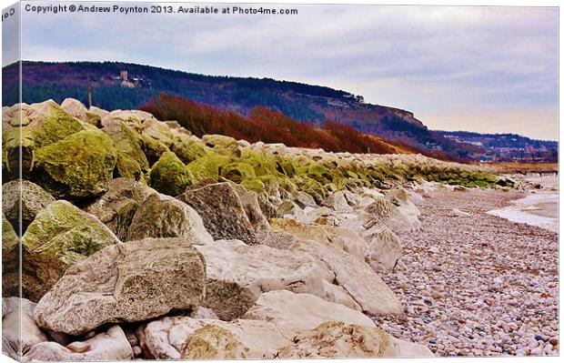 Towyn Beach Canvas Print by Andrew Poynton