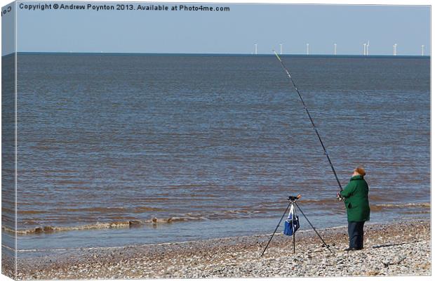 Gone Fishing Canvas Print by Andrew Poynton