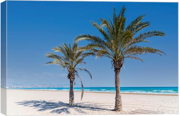 Palm Trees Alicante Canvas Print by Valerie Paterson