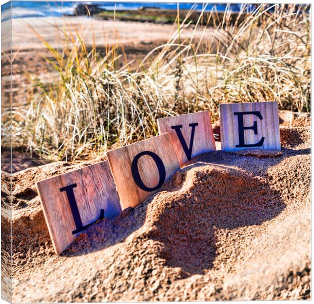 Love on the Beach Canvas Print by Valerie Paterson