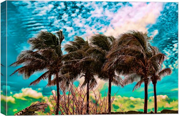 Palm Trees Canvas Print by Valerie Paterson