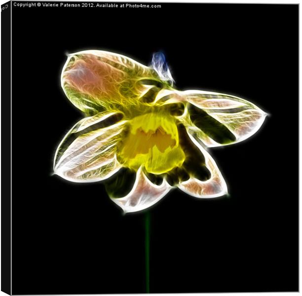 Fractalius Daffodil Canvas Print by Valerie Paterson