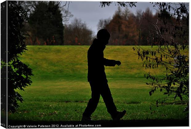 A Walk In The Dark Canvas Print by Valerie Paterson