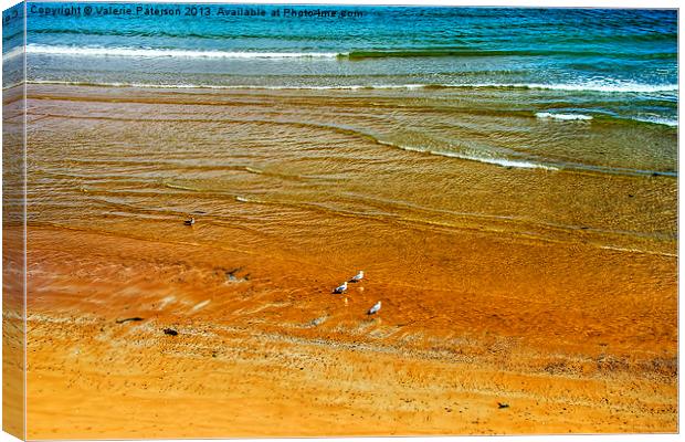 Golden Sands Of Aberdeen Canvas Print by Valerie Paterson