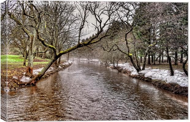 Ice Bank Canvas Print by Valerie Paterson