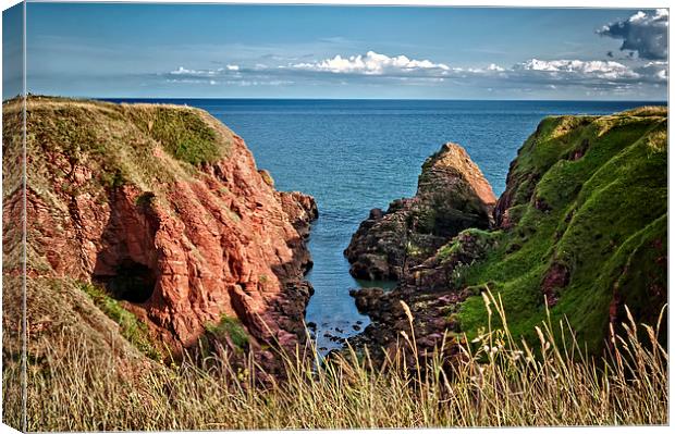 Rocky Cliffs of Arbroath  Canvas Print by Valerie Paterson