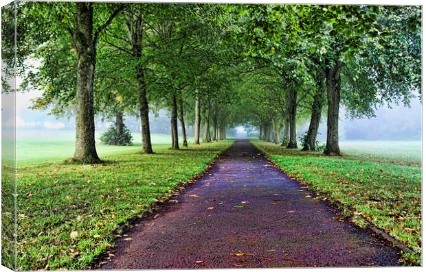 The Avenue in the Fog  Canvas Print by Valerie Paterson