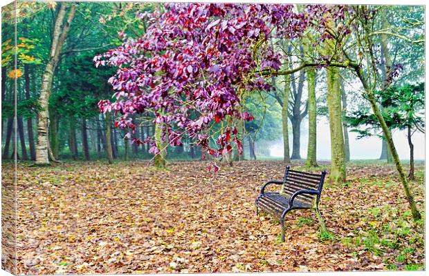 Autumn Colour in the Park  Canvas Print by Valerie Paterson