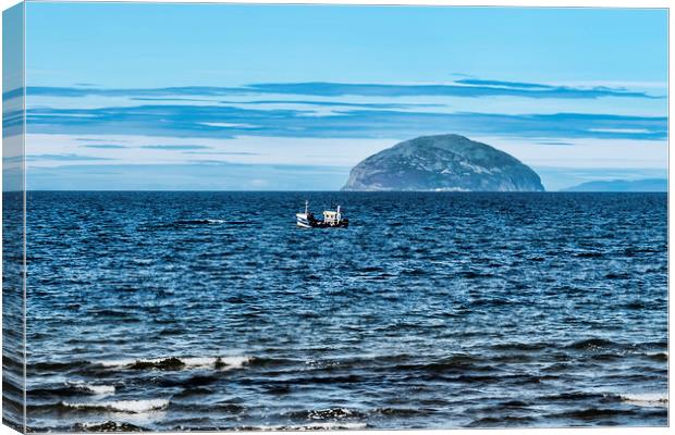 Ailsa Craig Canvas Print by Valerie Paterson