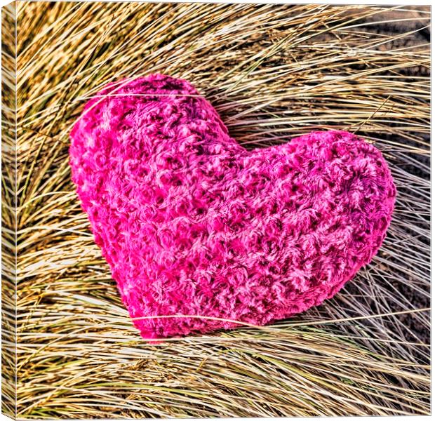 Heart in the Dunes Canvas Print by Valerie Paterson