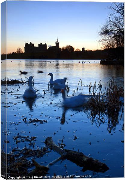 Linlithgow Palace sunrise Canvas Print by Craig Brown