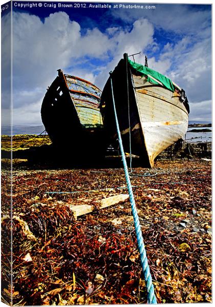 Wrecked Wooden Boats Canvas Print by Craig Brown