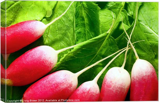 Radishes Canvas Print by Craig Brown