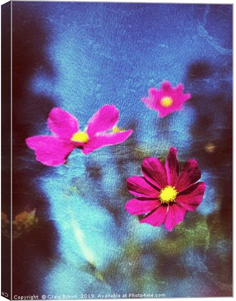 Pink Flower abstract Canvas Print by Craig Brown