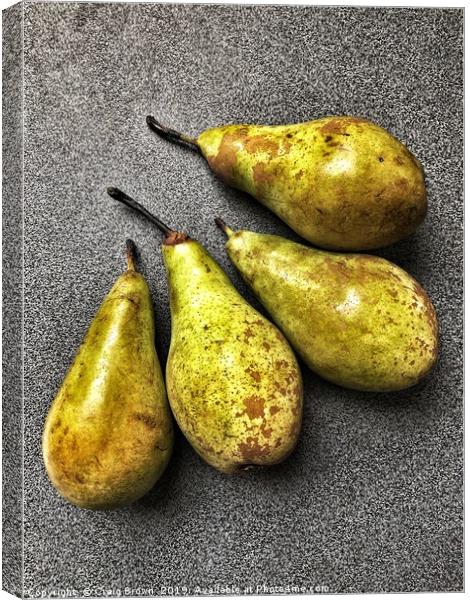 Ripe Pears Still life Canvas Print by Craig Brown