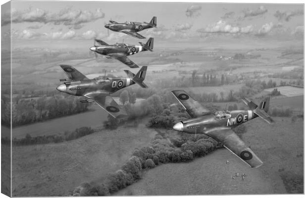 268 Squadron Mustangs B&W version Canvas Print by Gary Eason