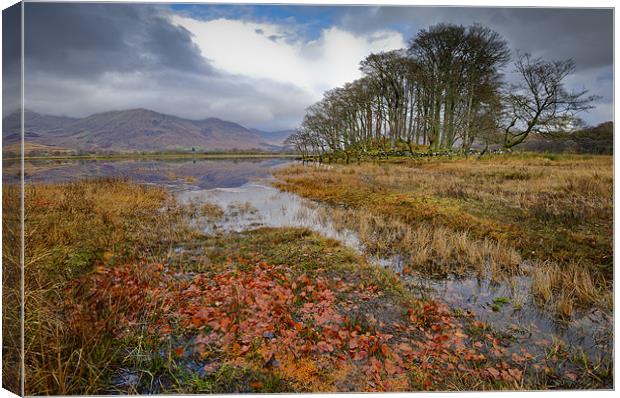 Autumn leaves, Loch Awe Canvas Print by Gary Eason