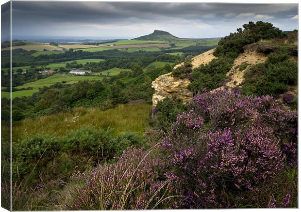 Roseberry Topping from Cockshaw Hill Canvas Print by Gary Eason