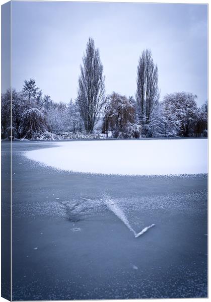 Frozen pond Canvas Print by Gary Eason